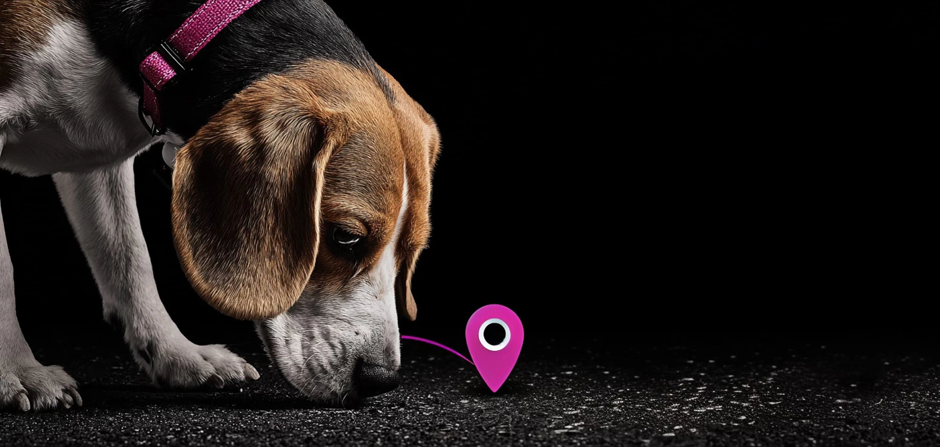 Conversational Search: Die Zukunft der lokalen Suche